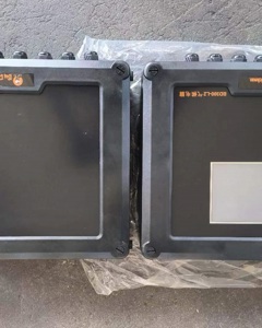 Climate controller BD300-L2 without sensor